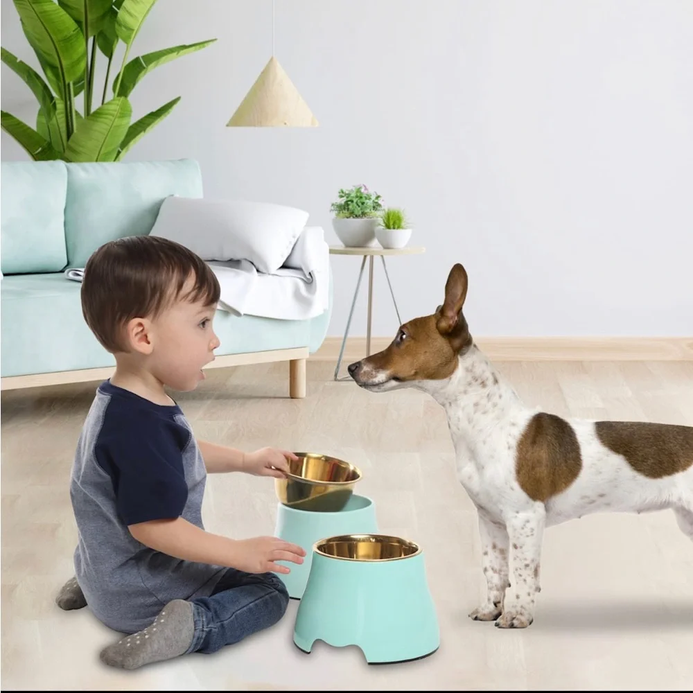 Elevated Gold Stainless Steel Dog Pet Bowl Mint Green Raises